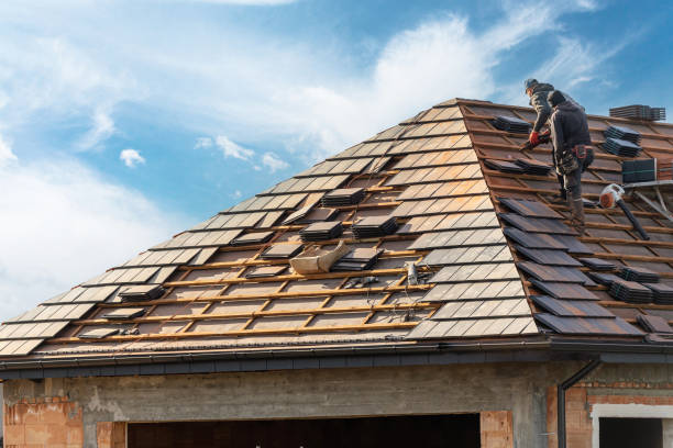 Best Roof Moss and Algae Removal  in Brownsville, FL
