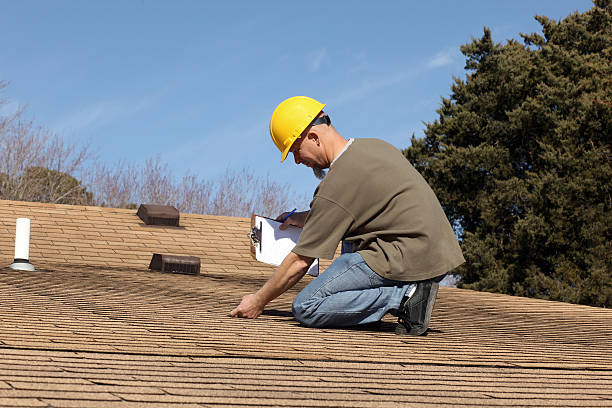 Best Roof Ventilation Installation  in Brownsville, FL