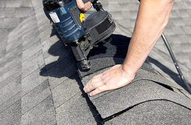 Best Solar Panel Roofing Installation  in Brownsville, FL